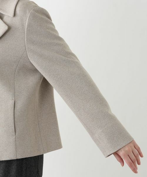 Leilian PLUS HOUSE / レリアンプラスハウス テーラードジャケット | ジャケット | 詳細9