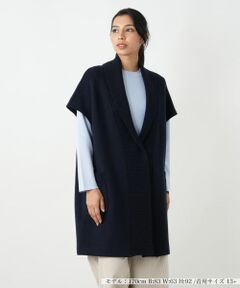 Leilian PLUS HOUSE / レリアンプラスハウス テーラードジャケット | ベスト【ROSSO35】