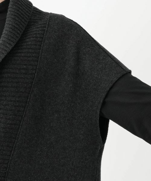 Leilian PLUS HOUSE / レリアンプラスハウス テーラードジャケット | ベスト【ROSSO35】 | 詳細9