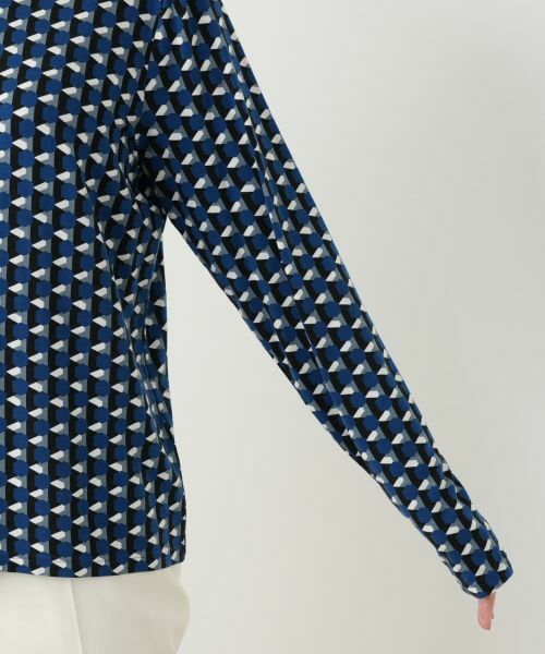 Leilian PLUS HOUSE / レリアンプラスハウス カットソー | カットソー【プラス企画】 | 詳細22