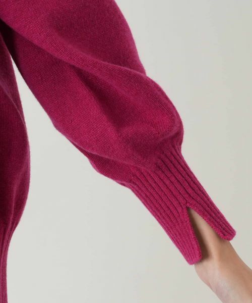 Leilian PLUS HOUSE / レリアンプラスハウス ニット・セーター | セーター | 詳細13