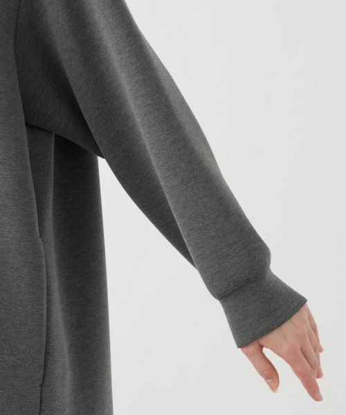 Leilian PLUS HOUSE / レリアンプラスハウス スウェット | トレーナー【プラス企画】 | 詳細15