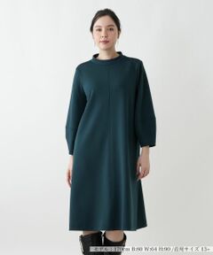 Leilian PLUS HOUSE / レリアンプラスハウス ドレス | ワンピース【プラス企画】