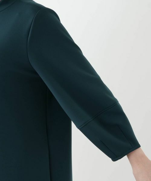 Leilian PLUS HOUSE / レリアンプラスハウス ドレス | ワンピース【プラス企画】 | 詳細15