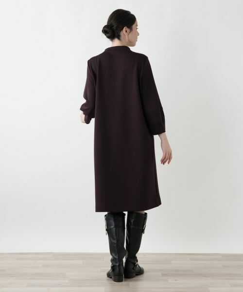 Leilian PLUS HOUSE / レリアンプラスハウス ドレス | ワンピース【プラス企画】 | 詳細3