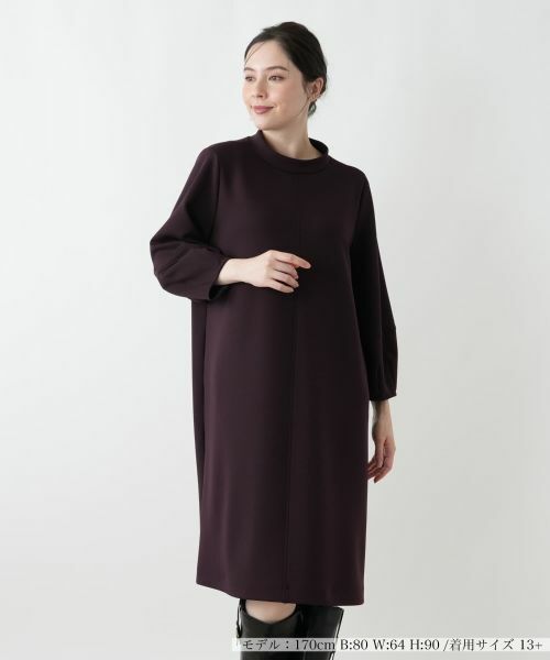 Leilian PLUS HOUSE/レリアンプラスハウス ワンピース【プラス企画】 バーガンディ 13+ Leilian PLUS HOUSE/レリアンプラスハウス ワンピース【プラス企画】 バーガンディ 13+