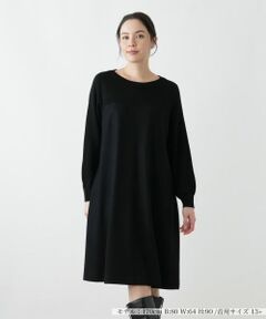 Leilian PLUS HOUSE / レリアンプラスハウス ドレス | ワンピース【プラス企画】