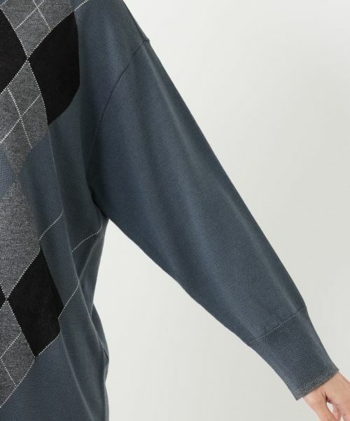 Leilian PLUS HOUSE / レリアンプラスハウス ニット・セーター | セーター【Leilian WHITE LABEL】 | 詳細12