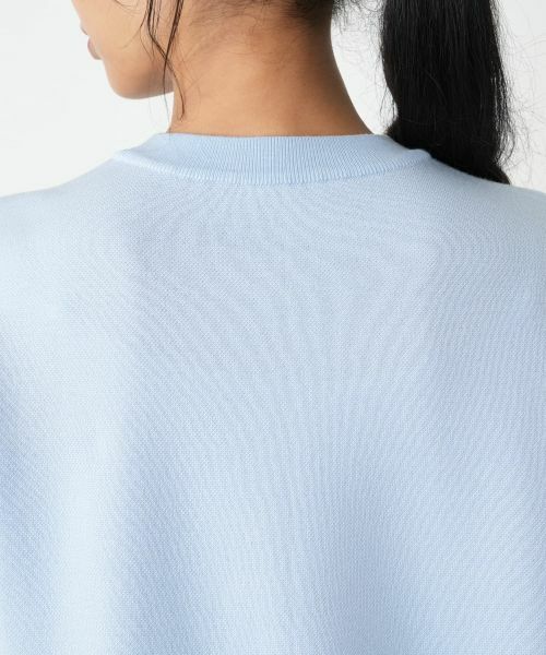 Leilian PLUS HOUSE / レリアンプラスハウス ニット・セーター | セーター | 詳細11