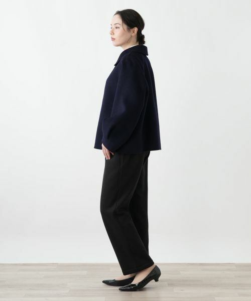 Leilian PLUS HOUSE / レリアンプラスハウス テーラードジャケット | ステンカラーショートジャケット【25年11月カタログ】 | 詳細2