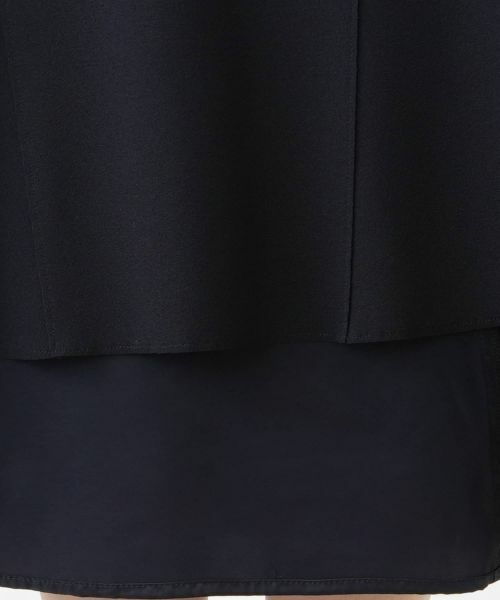 Leilian PLUS HOUSE / レリアンプラスハウス ミニ・ひざ丈スカート | フレアスカート【Leilian WHITE LABEL】 | 詳細10