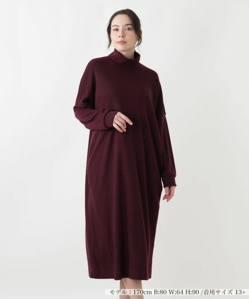 Leilian PLUS HOUSE / レリアンプラスハウス ドレス | ワンピース【FRANCO FERRARO for Leilian】 | 詳細9