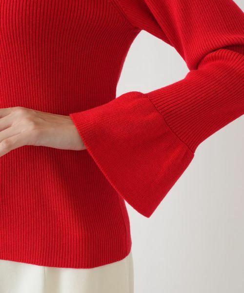 Leilian PLUS HOUSE / レリアンプラスハウス ニット・セーター | フリルリブニット【BOURGE】 | 詳細19