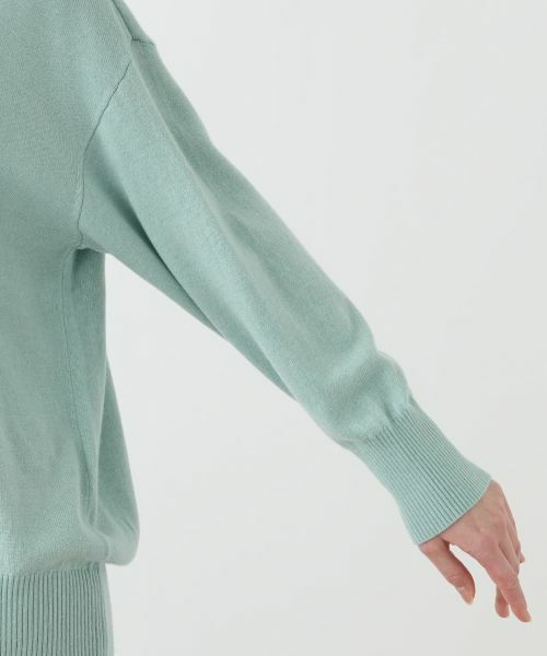 Leilian PLUS HOUSE / レリアンプラスハウス ニット・セーター | ドロップショルダーハイネックニット【25年11月カタログ】 | 詳細15