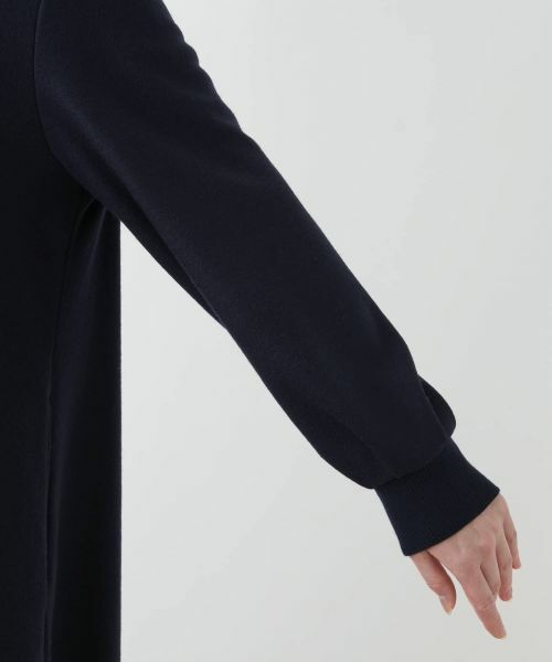 Leilian PLUS HOUSE / レリアンプラスハウス ドレス | ハイネックAラインワンピース【25年11月カタログ】 | 詳細9