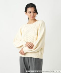 Leilian PLUS HOUSE / レリアンプラスハウス ニット・セーター | セーター【NEMIKA】