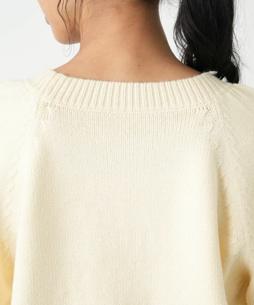 Leilian PLUS HOUSE / レリアンプラスハウス ニット・セーター | セーター【NEMIKA】 | 詳細14