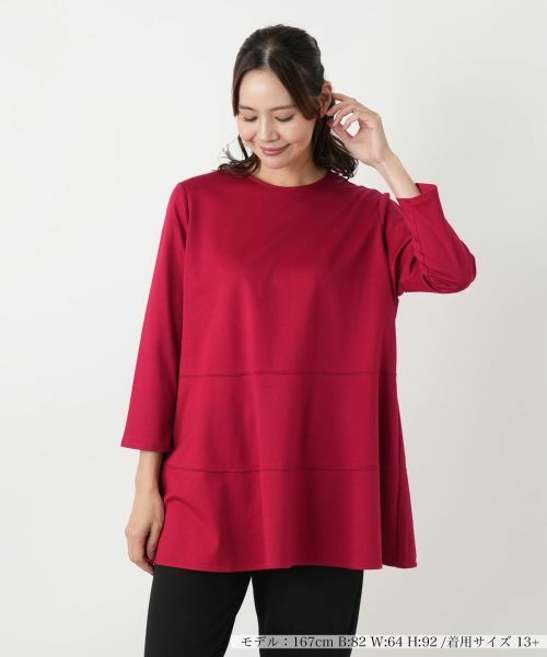 Leilian PLUS HOUSE/レリアンプラスハウス カットソー【プラス企画】 レッド 17+ Leilian PLUS HOUSE/レリアンプラスハウス カットソー【プラス企画】 レッド 17+