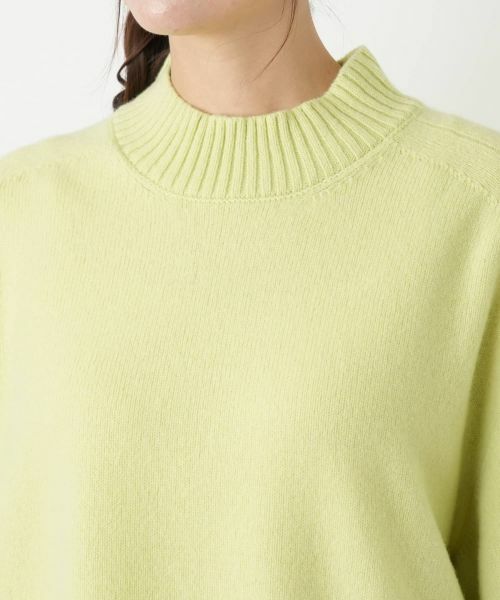 Leilian PLUS HOUSE / レリアンプラスハウス ニット・セーター | ハイネックニットプルオーバー【NEMIKA】 | 詳細16