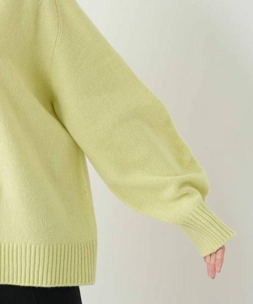 Leilian PLUS HOUSE / レリアンプラスハウス ニット・セーター | ハイネックニットプルオーバー【NEMIKA】 | 詳細18