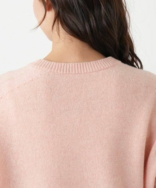 Leilian PLUS HOUSE / レリアンプラスハウス ニット・セーター | クルーネックニットプルオーバー【NEMIKA】 | 詳細17