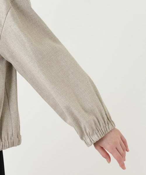 Leilian PLUS HOUSE / レリアンプラスハウス その他アウター | ブルゾン | 詳細12