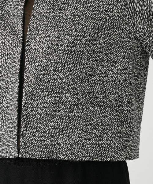 Leilian PLUS HOUSE / レリアンプラスハウス テーラードジャケット | ジャケット【BOURGE】 | 詳細15