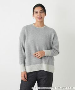 Leilian PLUS HOUSE / レリアンプラスハウス ニット・セーター | 配色ニットプルオーバー