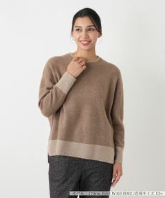 Leilian PLUS HOUSE / レリアンプラスハウス ニット・セーター | 配色ニットプルオーバー