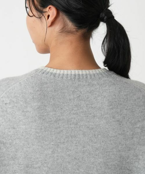 Leilian PLUS HOUSE / レリアンプラスハウス ニット・セーター | 配色ニットプルオーバー | 詳細11