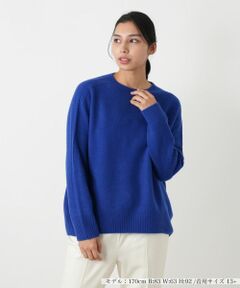 Leilian PLUS HOUSE / レリアンプラスハウス ニット・セーター | クルーネックニットプルオーバー