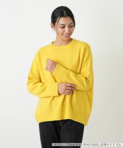 Leilian PLUS HOUSE / レリアンプラスハウス ニット・セーター | クルーネックニットプルオーバー