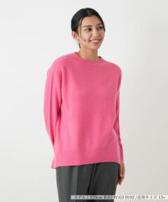 Leilian PLUS HOUSE / レリアンプラスハウス ニット・セーター | クルーネックニットプルオーバー