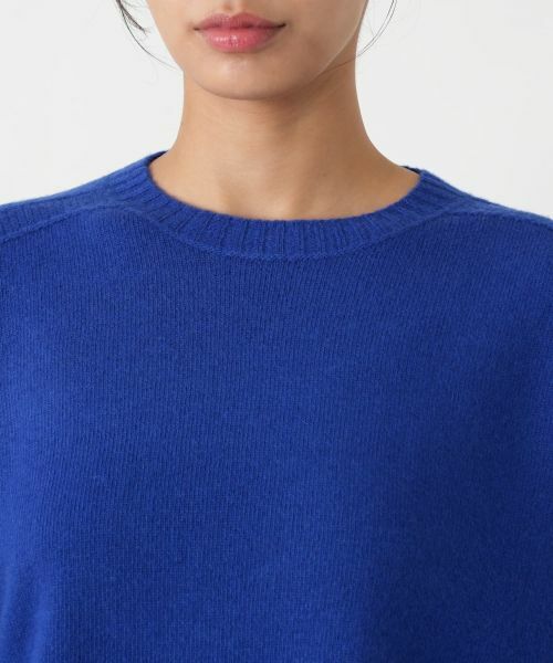 Leilian PLUS HOUSE / レリアンプラスハウス ニット・セーター | クルーネックニットプルオーバー | 詳細13