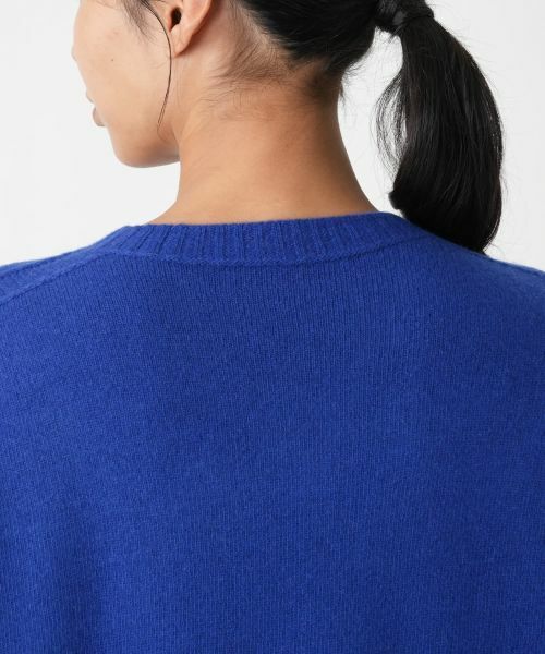 Leilian PLUS HOUSE / レリアンプラスハウス ニット・セーター | クルーネックニットプルオーバー | 詳細14