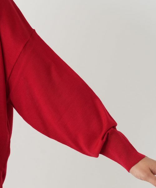 Leilian PLUS HOUSE / レリアンプラスハウス ニット・セーター | タートルネックニットプルオーバー | 詳細18