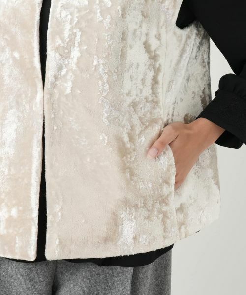 Leilian PLUS HOUSE / レリアンプラスハウス テーラードジャケット | ベスト | 詳細10