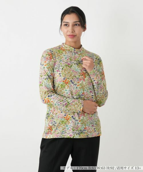 Leilian PLUS HOUSE / レリアンプラスハウス カットソー | カットソー【Leilian WHITE LABEL】 | 詳細16