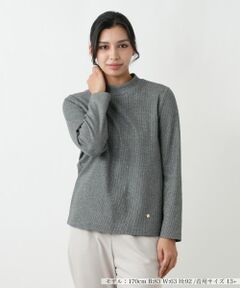 Leilian PLUS HOUSE / レリアンプラスハウス カットソー | カットソー