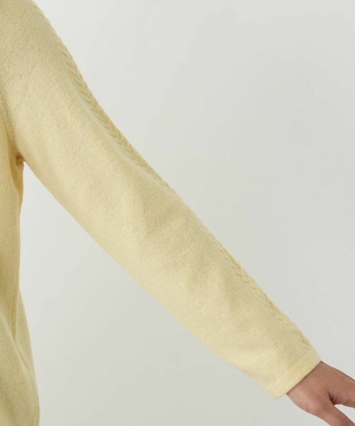 Leilian PLUS HOUSE / レリアンプラスハウス ニット・セーター | セーター【Leilian WHITE LABEL】 | 詳細15