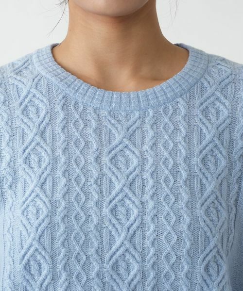 Leilian PLUS HOUSE / レリアンプラスハウス ニット・セーター | 柄編みクルーネックセーター【Leilian WHITE LABEL】 | 詳細13