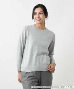 Leilian PLUS HOUSE / レリアンプラスハウス ニット・セーター | セーター