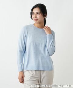 Leilian PLUS HOUSE / レリアンプラスハウス ニット・セーター | セーター