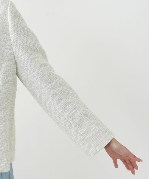 Leilian PLUS HOUSE / レリアンプラスハウス テーラードジャケット | ジャケット | 詳細9