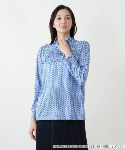 Leilian PLUS HOUSE / レリアンプラスハウス カットソー | カットソー【ROCHAS Premiere】（サックスブルー）