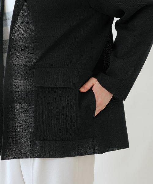 Leilian PLUS HOUSE / レリアンプラスハウス テーラードジャケット | ジャケット【ROCHAS Premiere】 | 詳細13