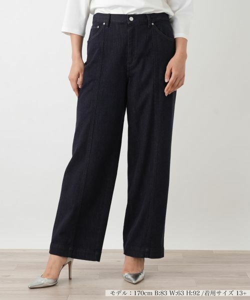 Leilian PLUS HOUSE / レリアンプラスハウス その他パンツ | パンツ【ROCHAS Premiere】（ネイビー）