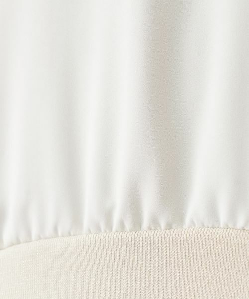 Leilian PLUS HOUSE / レリアンプラスハウス シャツ・ブラウス | ブラウス【ROCHAS Premiere】 | 詳細15