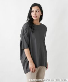 Leilian PLUS HOUSE / レリアンプラスハウス カットソー | プルオーバーチュニック【プラス企画】