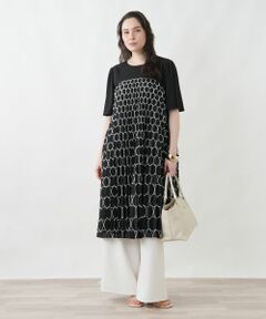 Leilian PLUS HOUSE / レリアンプラスハウス ドレス | 洗えるプリーツワンピース